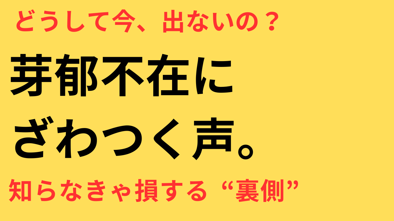永野芽郁　キャスター　出演ナシ